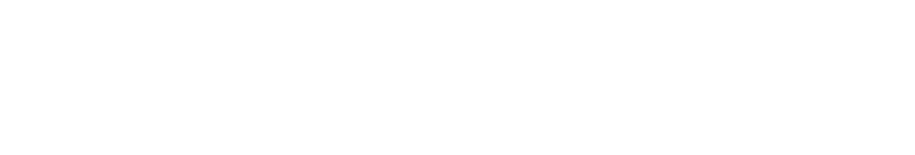 Logo scritta desanser bianco